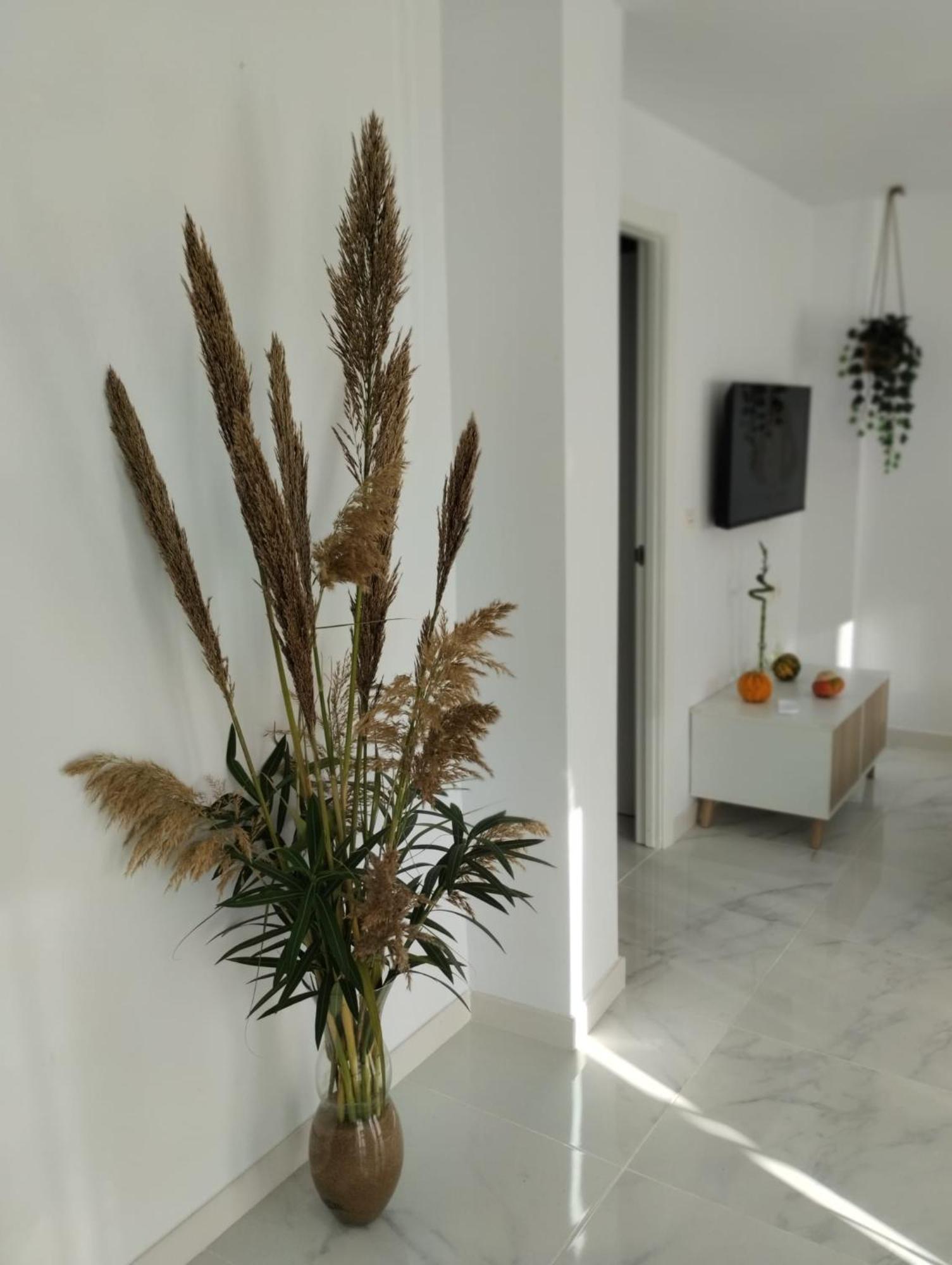 Apartamento Sun Gate Херес-де-ла-Фронтера Екстер'єр фото